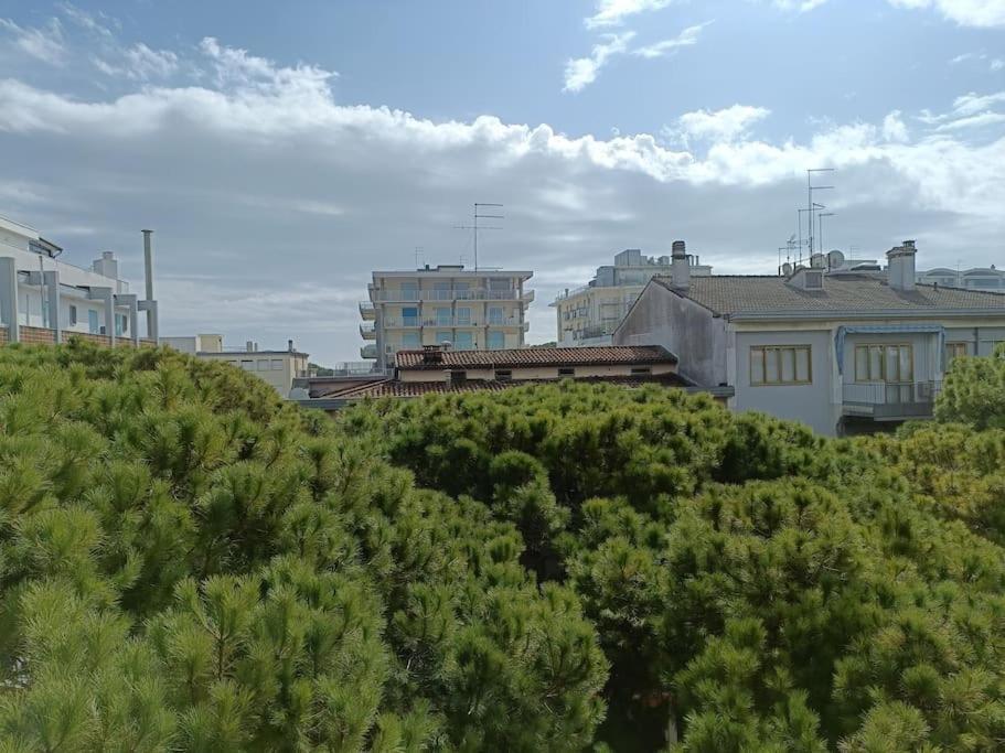 Apartment Centralissimo E Vicino Alla Spiaggia *
